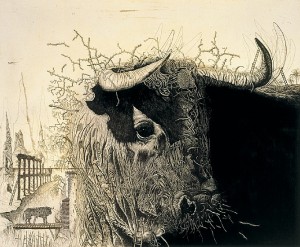 Anatomia de Toro Salvaje II . Aguafuerte, 60 x 50 cm. 1993